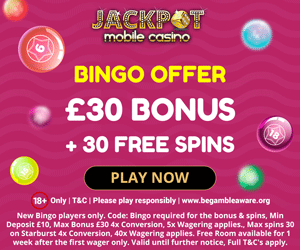 Jackpot Mobile Casino Bingo BONUS!