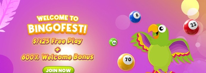 Bingofest Free play 